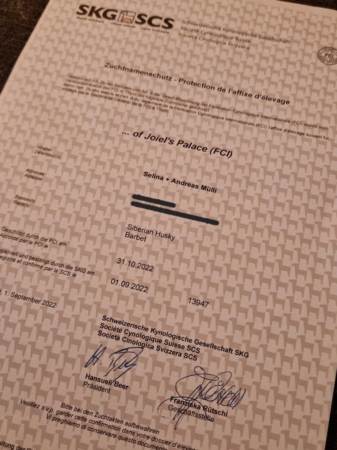 Urkunde der Schweizerischen Kynologischen Gesellschaft SKG für die Zuchtstätte Joiel’s Palace