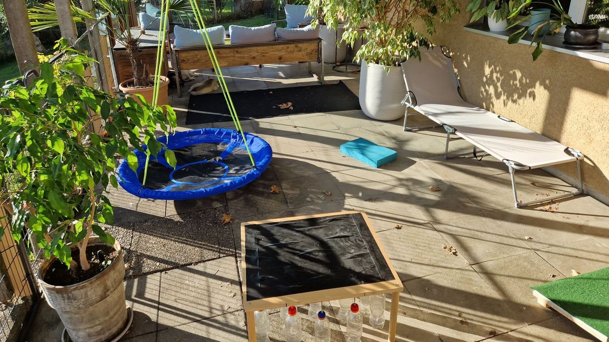 Terrace with a nest swing and wobble board used for puppy socialisation