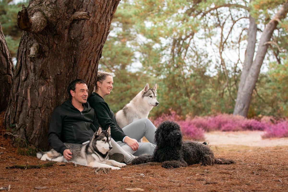 The breeders sitting with two Siberian Huskies and their Barbet under a pine tree
