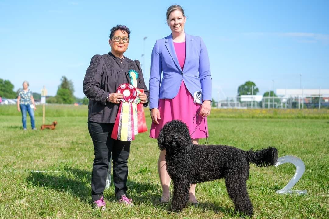Barbet mit Hundeführerin und Richterin bei der Siegerehrung im Freien