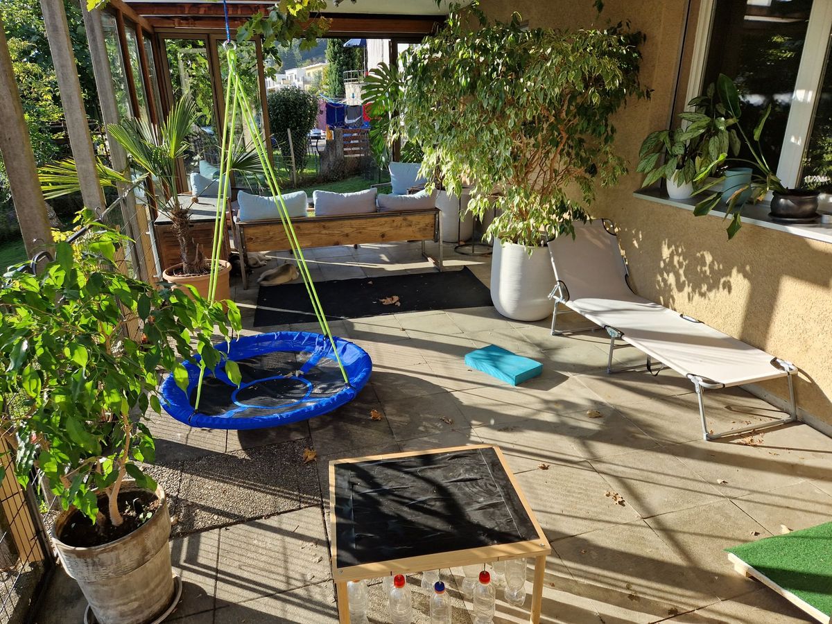 Überdachte Terrasse mit Nestschaukel und Ruheplätzen als Auslauf für die Welpen