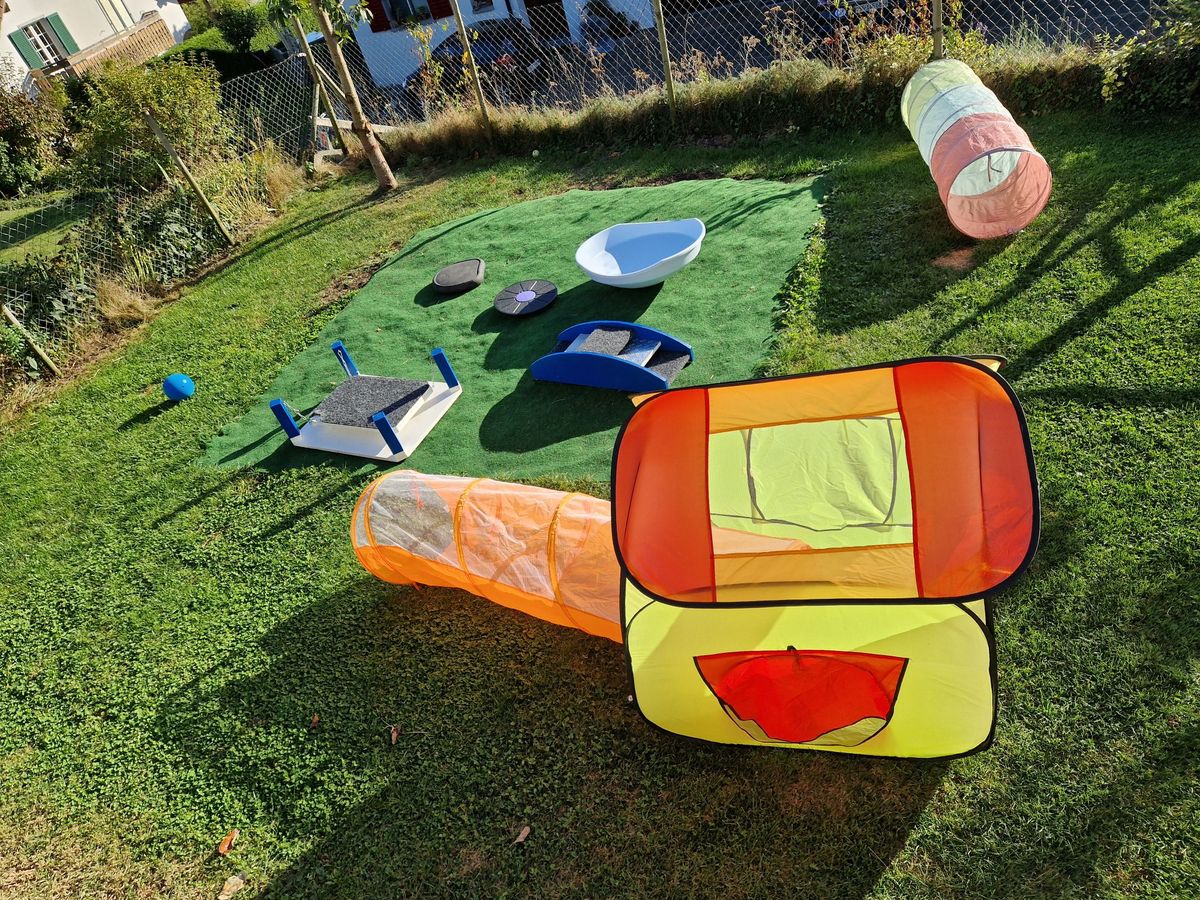 Spielplatz im Garten mit Tunnel, Pop-up-Zelt und Wackelbrettern für Welpen
