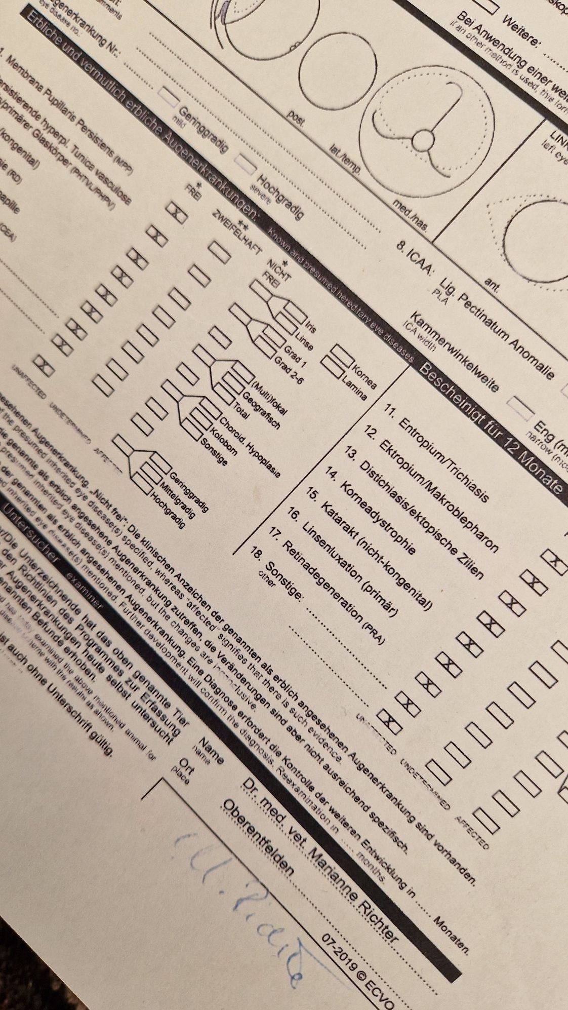 Ausgefülltes Formular einer Gesundheitsuntersuchung für einen Zuchthund