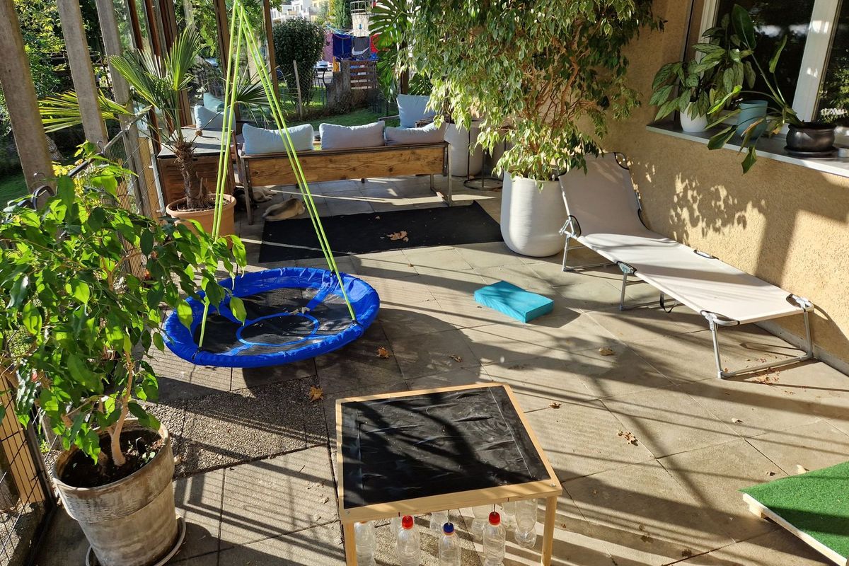 Covered outdoor area with a nest swing serving as the puppy run