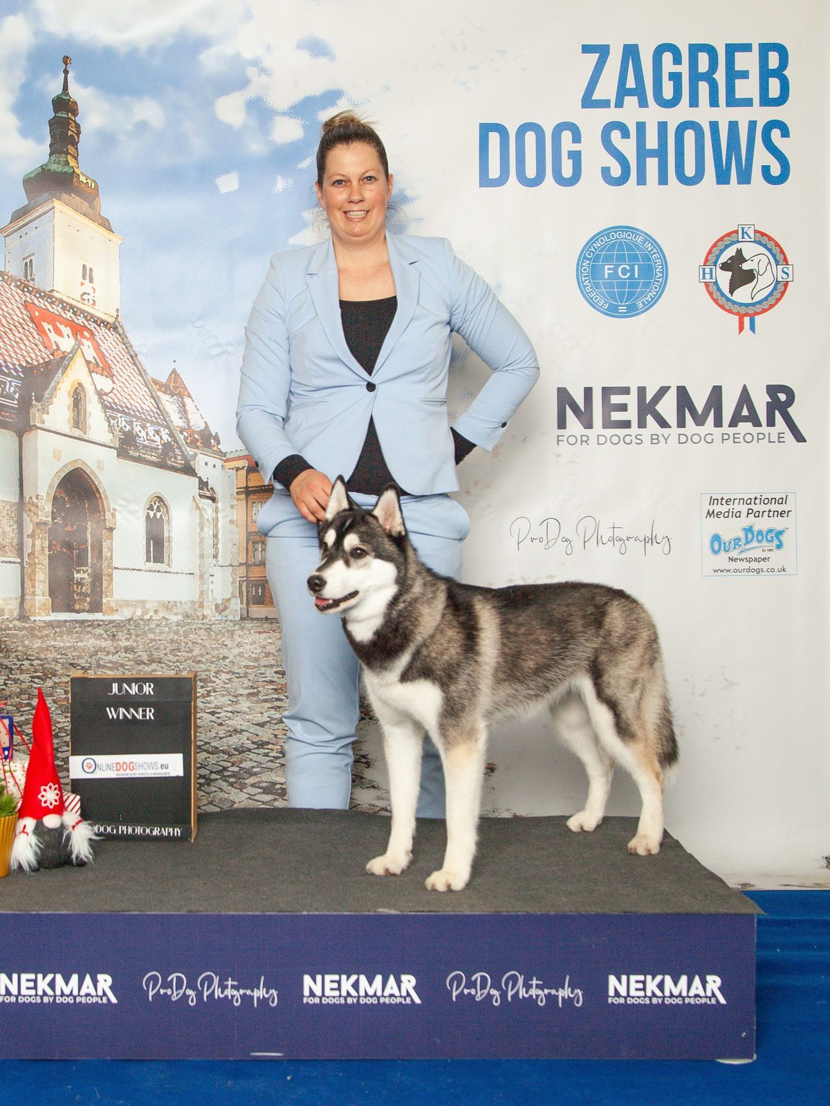 Siberian Husky als Junior Winner auf dem Siegerpodest einer FCI-Ausstellung