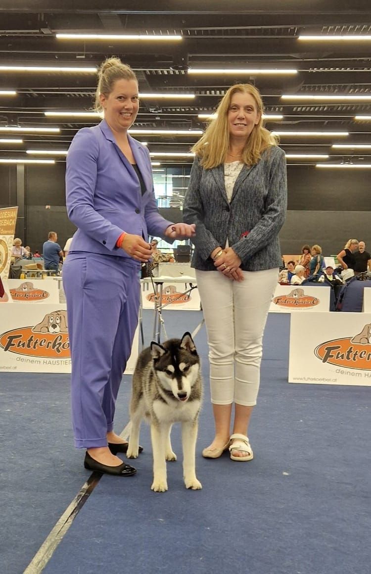 Siberian Husky mit Hundeführerin und Richterin nach der Bewertung in der Halle