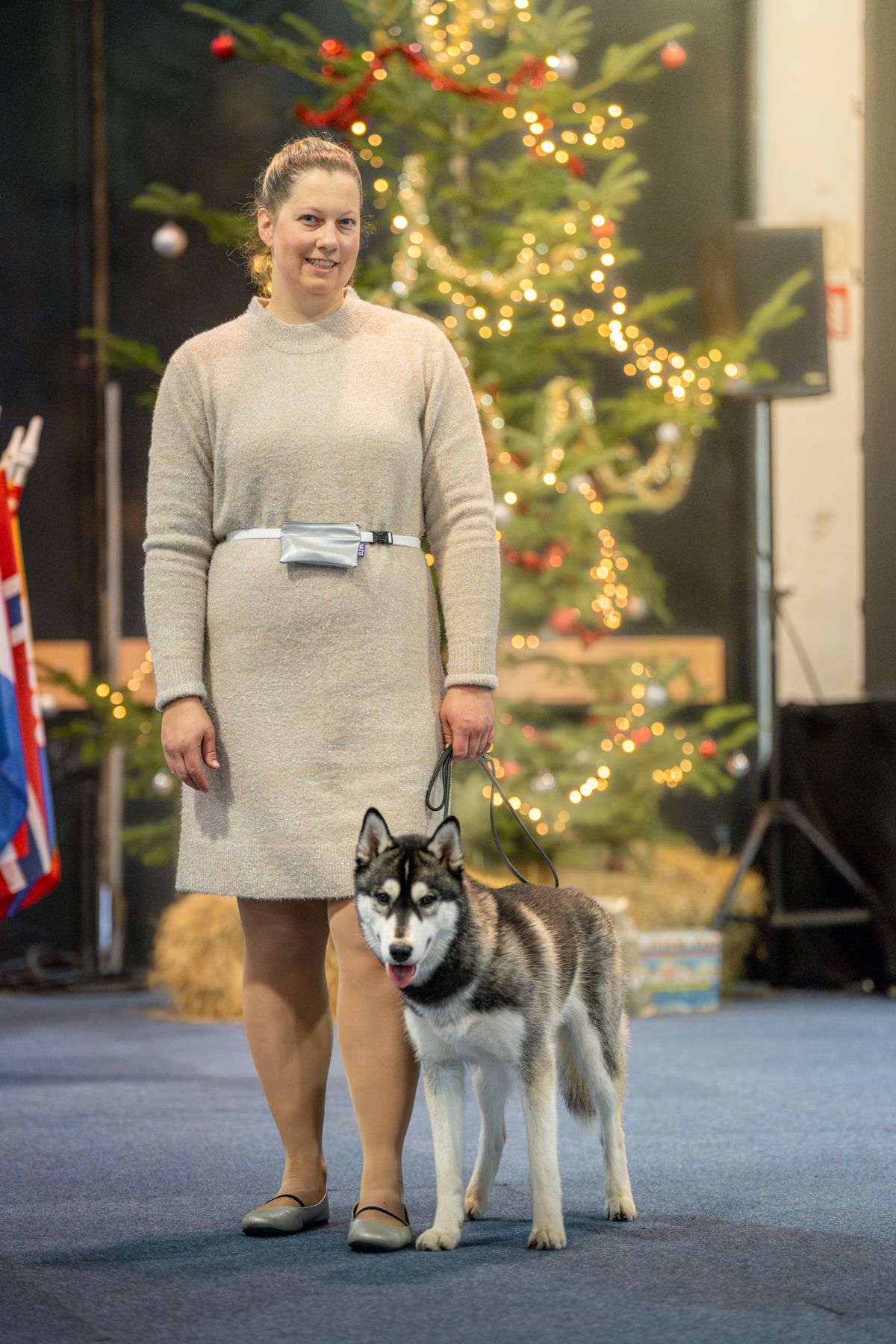 Siberian Husky steht mit der Hundeführerin vor dem Weihnachtsbaum im Ring