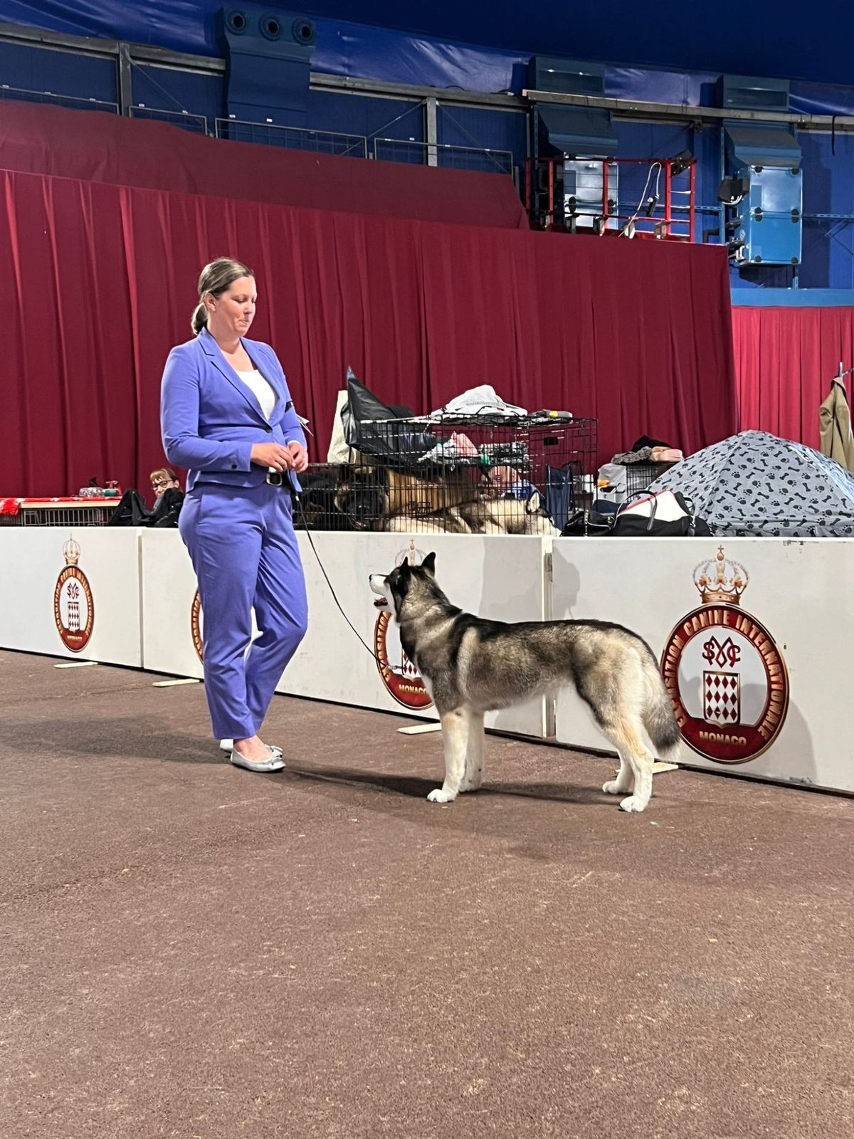 Siberian Husky mit Hundeführerin im Ring einer internationalen Ausstellung