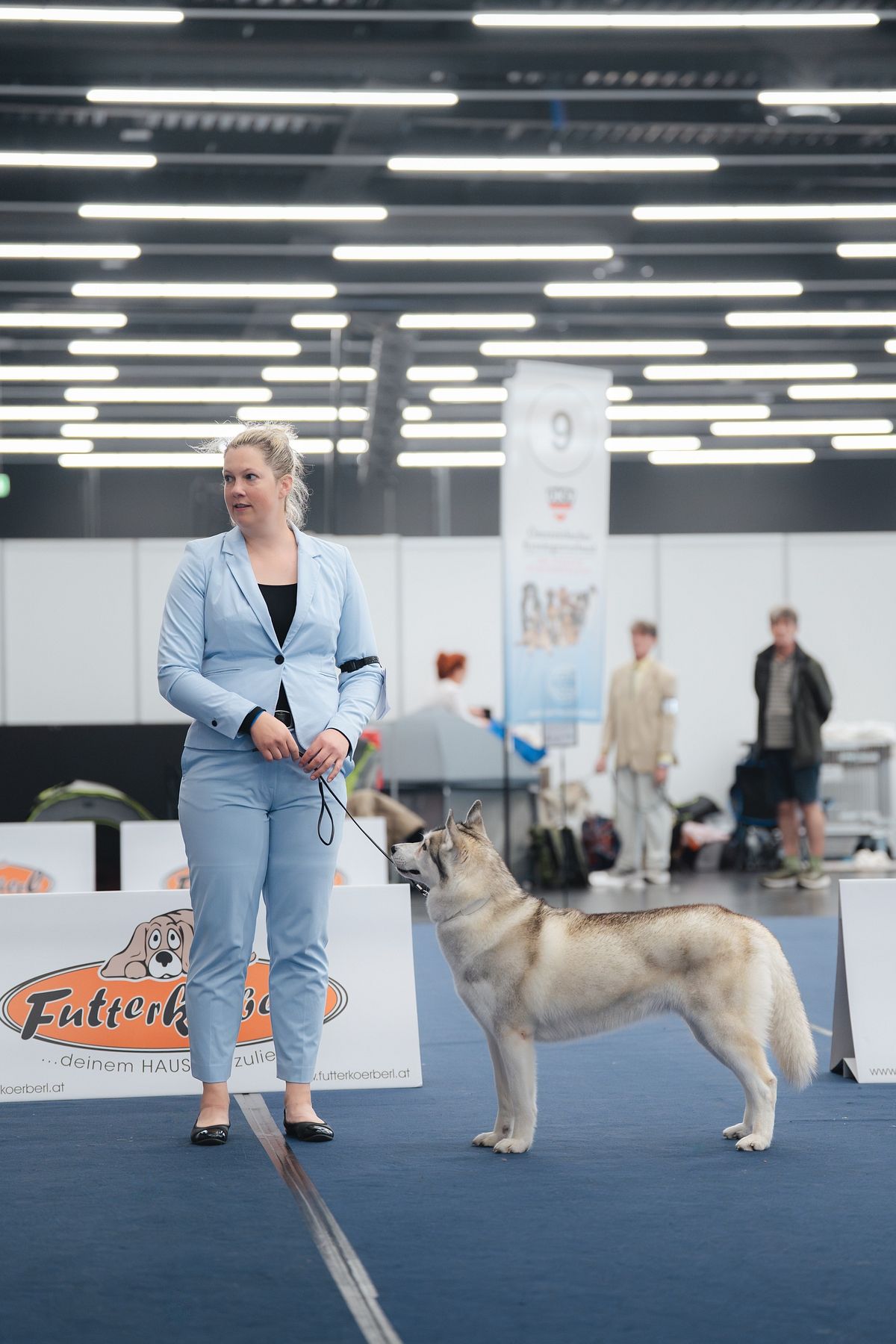 Siberian Husky standing with its handler in the show ring of an exhibition hall